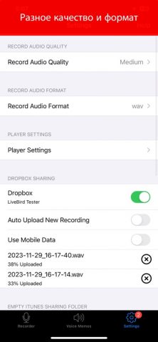 Voice Recorder : Запись аудио для iOS — скриншот 5