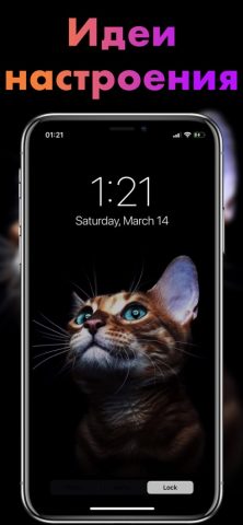 WALLS HD－Обои для телефона PRO — скриншот 4