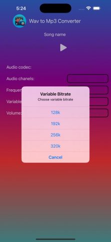 WAV to MP3 Converter для iOS — скриншот 3