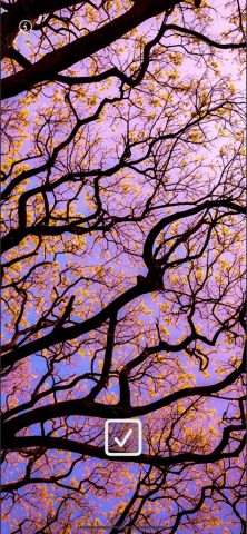 WLPPR — Крутые обои на iPhone для iOS — скриншот 4