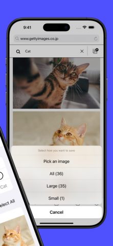 Picket — Скачать фото для iOS — скриншот 2
