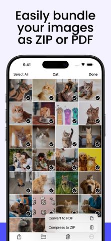 Picket — Скачать фото для iOS — скриншот 5