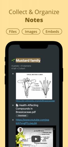 Workflowy: Note, List, Outline для iOS — скриншот 1