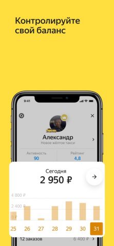 Яндекс Про: водители и курьеры для iOS — скриншот 2