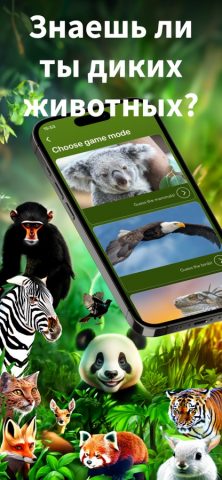 Животные — Развивающие игры для iOS — скриншот 1