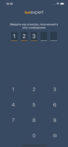 Зетта Клиент для iOS — скриншот 1