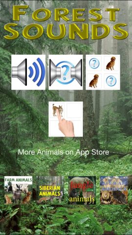 Звуки Леса для iOS — скриншот 1