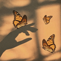 aesthetic wallpapers для iOS