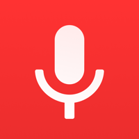 диктофон & запись разговора для iOS