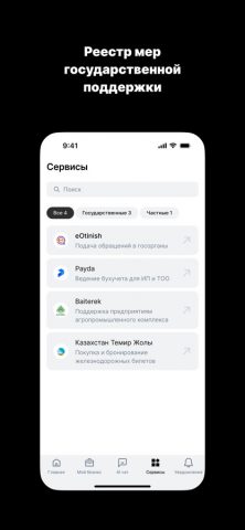 eGov Business — скриншот 4