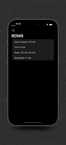 eNES: NES & SNES Retro Emu для iOS — скриншот 5