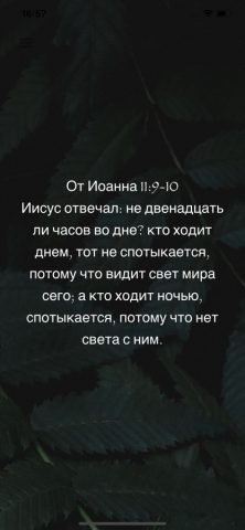 ежедневно библия для iOS — скриншот 3