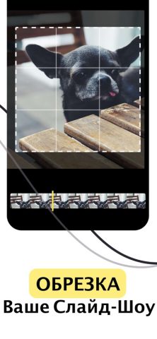 фоток и слайд шоу видео музыки для iOS — скриншот 4