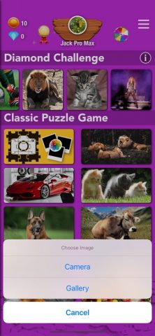 головоломка ++ для iOS — скриншот 5