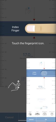 iFING Scanner для iOS — скриншот 2