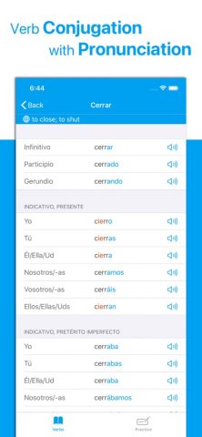 iRregular — испанский язык для iOS — скриншот 2