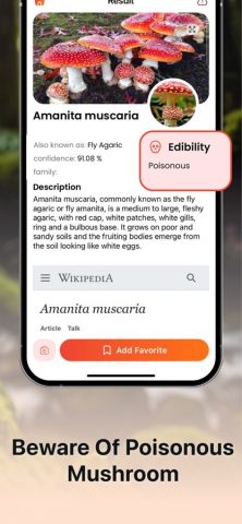 распознание грибов для iOS — скриншот 4