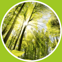 расслабляющую музыку для iOS