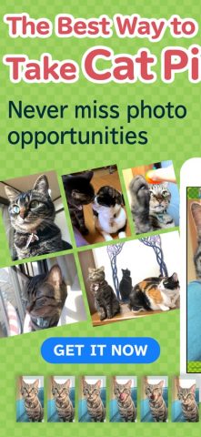 toruneko (KittyCam) для iOS — скриншот 1