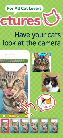 toruneko (KittyCam) для iOS — скриншот 2