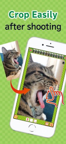 toruneko (KittyCam) для iOS — скриншот 3