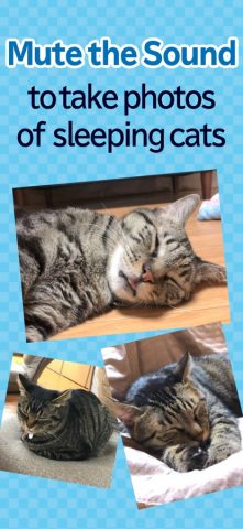 toruneko (KittyCam) для iOS — скриншот 4