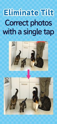 toruneko (KittyCam) для iOS — скриншот 5