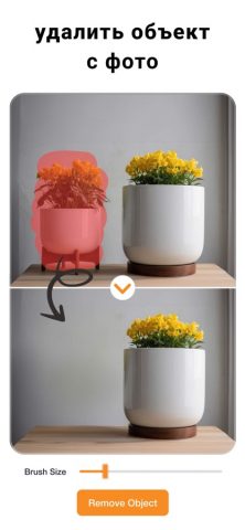 вырезать фон и объект с фото для iOS — скриншот 2