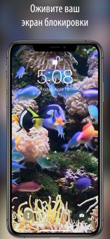 живые обои и темы для экрана+ для iOS — скриншот 2