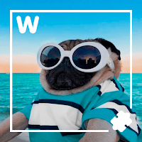 10000 слов для Android