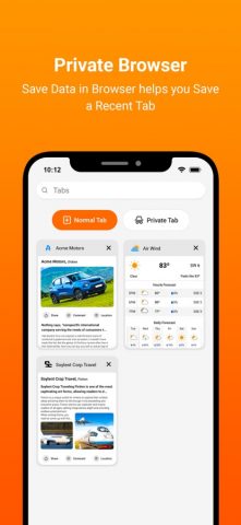 1DM: Browser & Downloader для iOS — скриншот 5