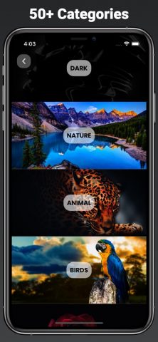 4K Wallpapers Backgrounds для iOS — скриншот 4