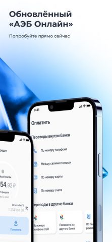 АЭБ Онлайн для iOS — скриншот 3
