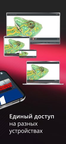 АКАДО ТВ для iOS — скриншот 2