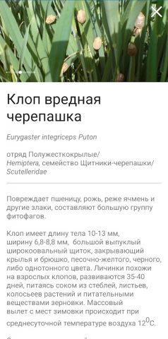 АгроСигнал. Скаутинг для Android — скриншот 3