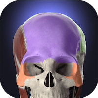 Anatomyka — 3D анатомия для Android