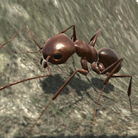 Ant Simulation 3D для Android