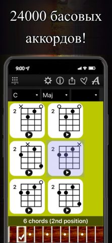 Bass Chords Compass для iOS — скриншот 2