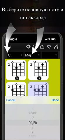 Bass Chords Compass для iOS — скриншот 5
