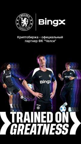 BingX: покупка крипты и акций для Android — скриншот 1