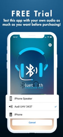 Bluetooth Streamer Pro для iOS — скриншот 4