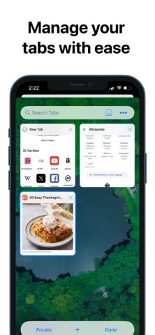 Браузер RedApp для iOS — скриншот 2