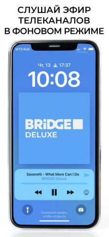 Bridge Music для iOS — скриншот 3