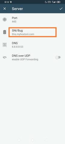 Bypasser SSL VPN для Android — скриншот 4