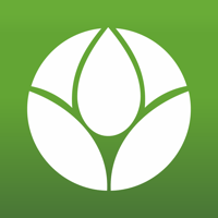 Челны-хлеб для iOS