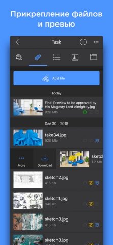 Cerebro для iOS — скриншот 4