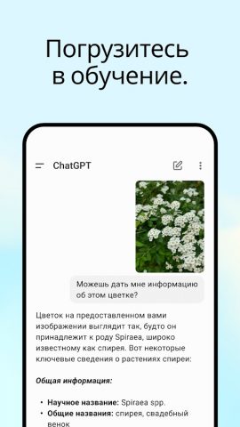 ChatGPT — скриншот 4