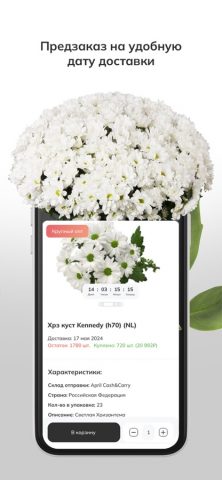 Click Business для iOS — скриншот 5