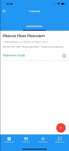 ДЭК Дальэнергосбыт — скриншот 3
