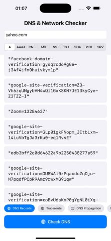 DnsChecker для iOS — скриншот 1